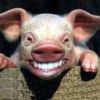 Uživatelský avatar