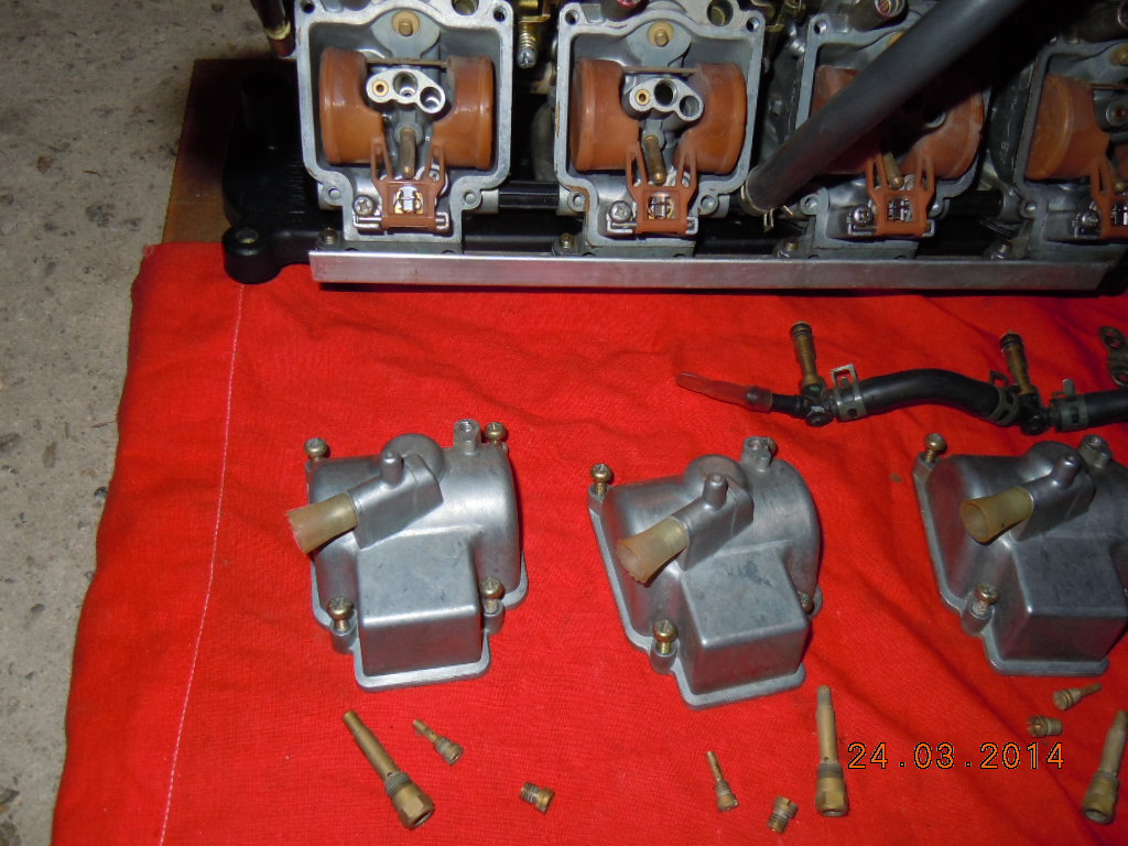 DSCN3808.JPG