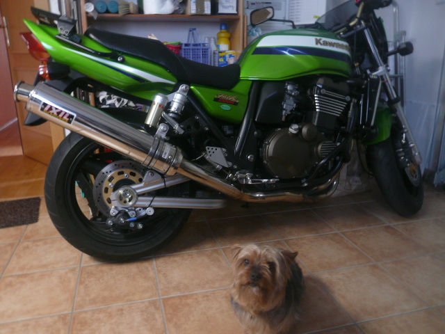 P1100919.JPG