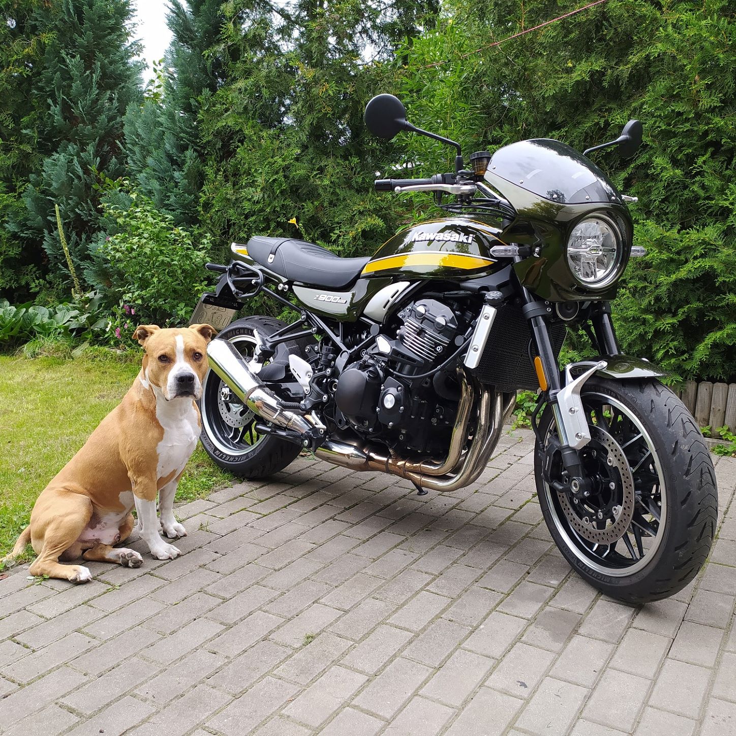 Z900rs - kopie.jpg