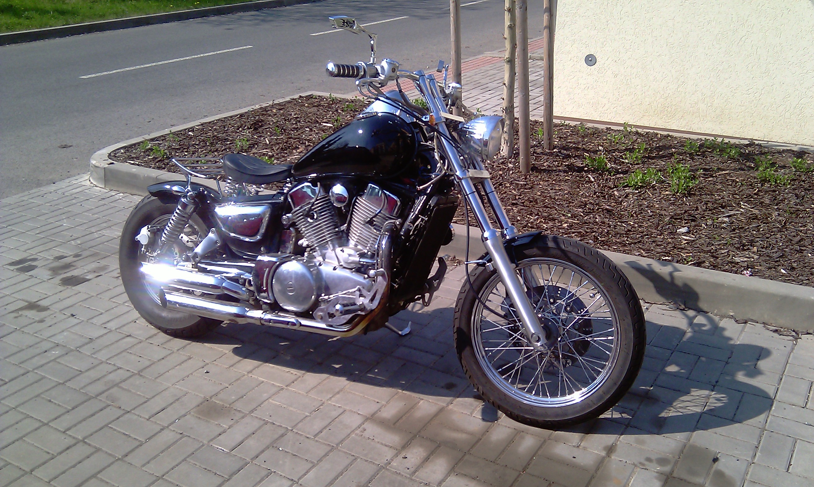 IMAG1290.jpg
