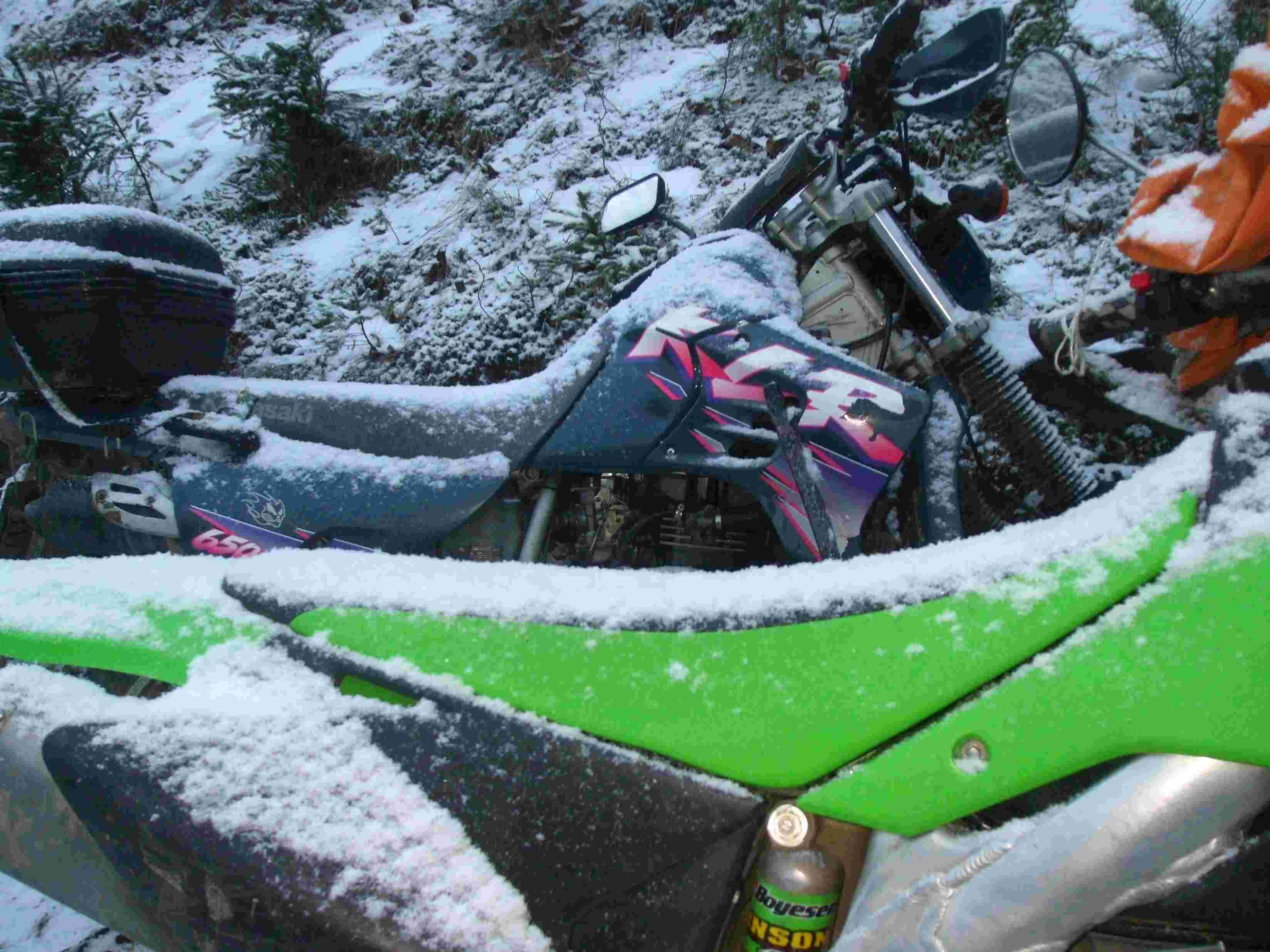 DSCF8319.jpg